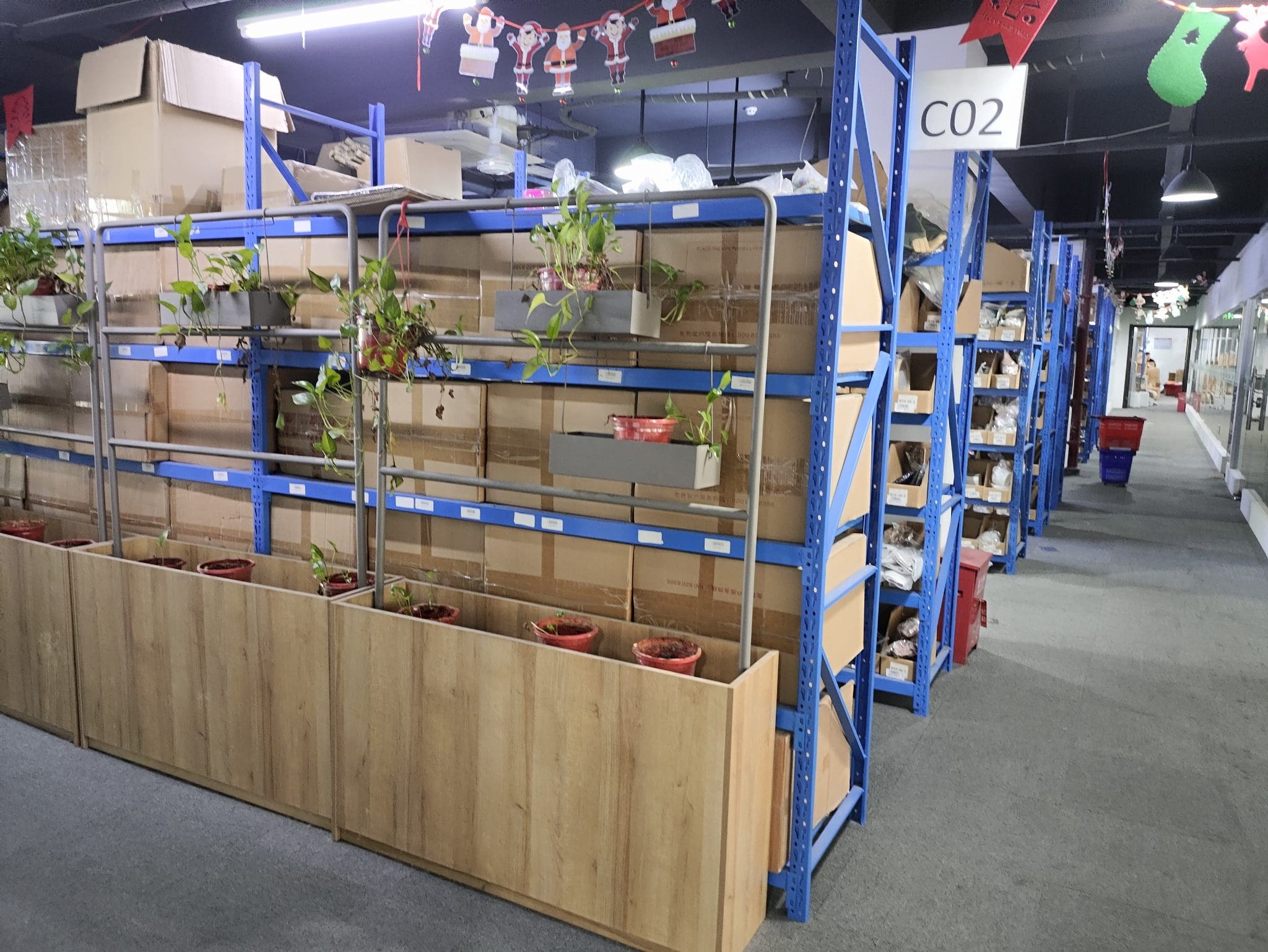 Warehouse interior with blue shelving units stocked with cardboard boxes and potted plants. "C02" label visible.